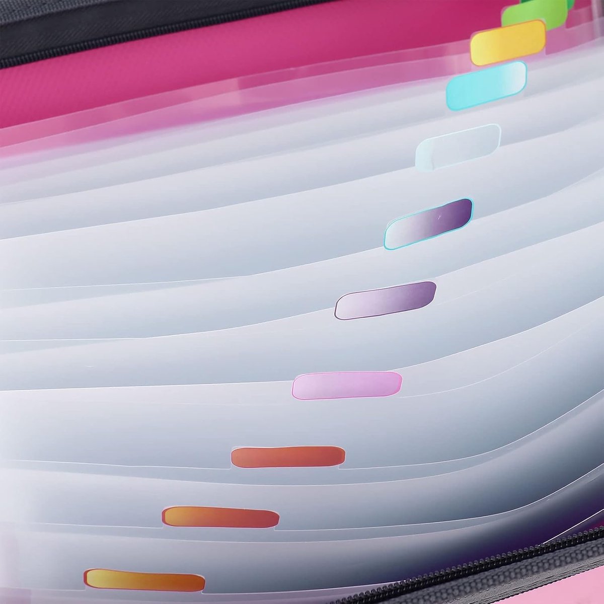 Project Folder - A4 - Foldable File Folder with Tabs - 13 Compartments - Storage Folder/Sorting Folder - V1188-MS101-01869-1
