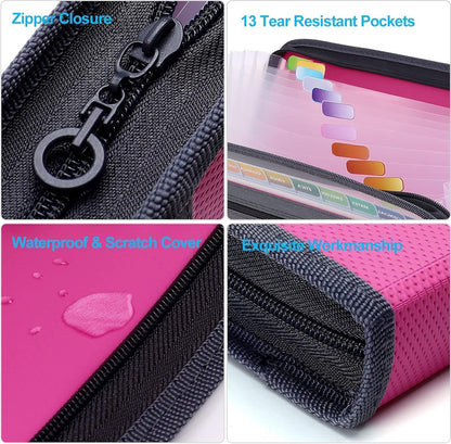 Project Folder - A4 - Foldable File Folder with Tabs - 13 Compartments - Storage Folder/Sorting Folder - V1188-MS101-01869-1