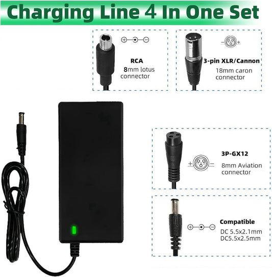 Electric Bike Charger - Charger for Electric Scooters - 36V/42V 2A Universal Charger - With 4 Battery Charger V1188-MS101-01919-1