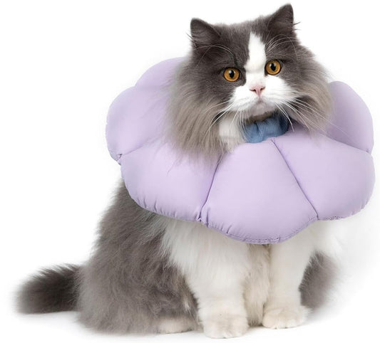Protective Collar - Cat Collar - Collar - Cat Recovery Collar - Cat Collar - Cat Collar - Protective Collar V1188-MS101-01936-1