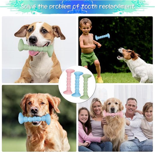 Dog Toys - 3 Pieces - Dog Chew Toys - Dental Care - Teeth Cleaning - Rubber Pet Chew Toys - For Medium and V1188-MS101-02056-1