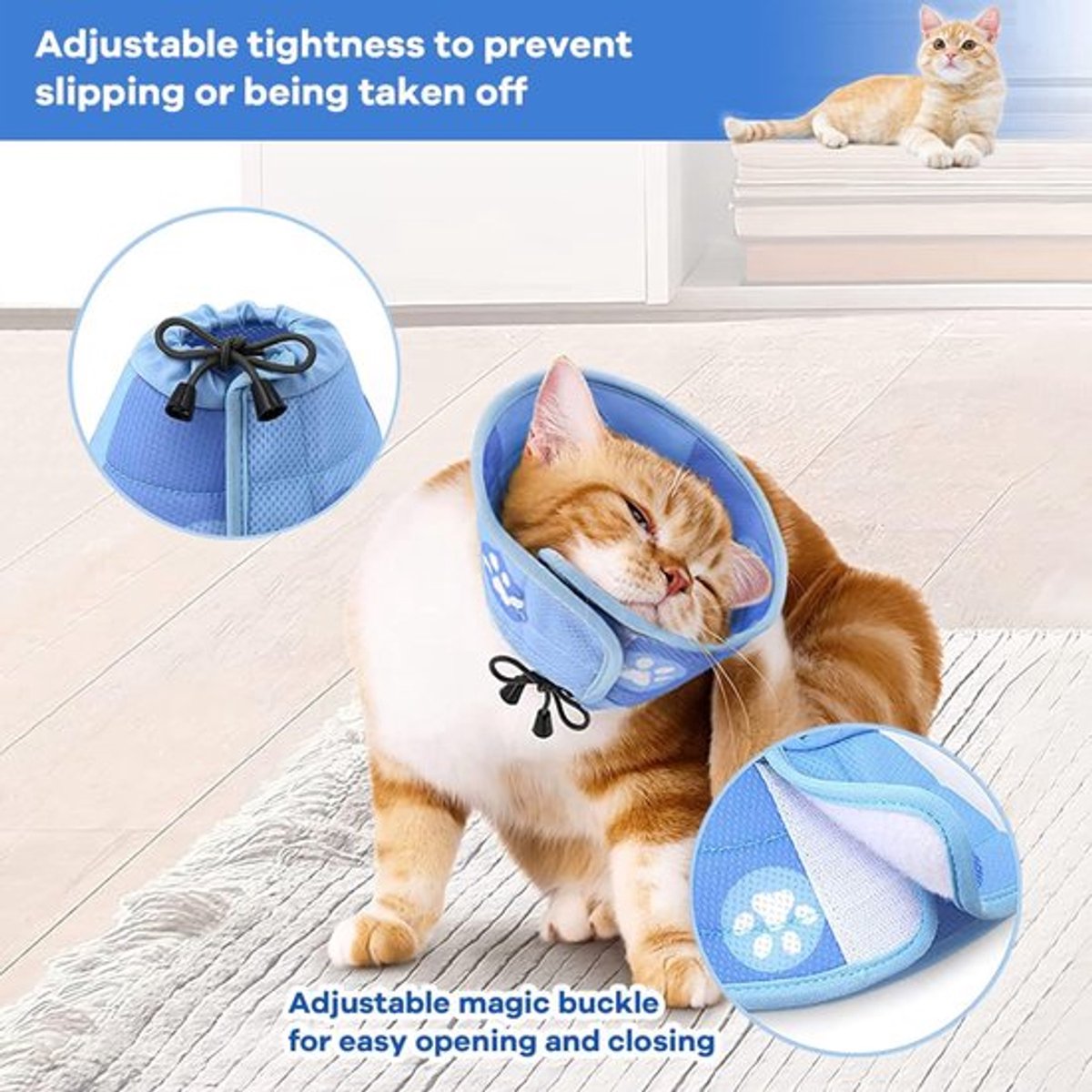 Cat collar - Cat recovery collar - Cat collar - Cat cone - Elizabethan Collars For Cats - Cat Collar - V1188-MS101-02144-1