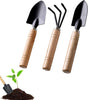 Garden Tool Set - Handy 3-piece set with small trowel for bonsai and plant maintenance V1188-MS101-02186-1