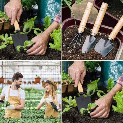 Garden Tool Set - Handy 3-piece set with small trowel for bonsai and plant maintenance V1188-MS101-02186-1