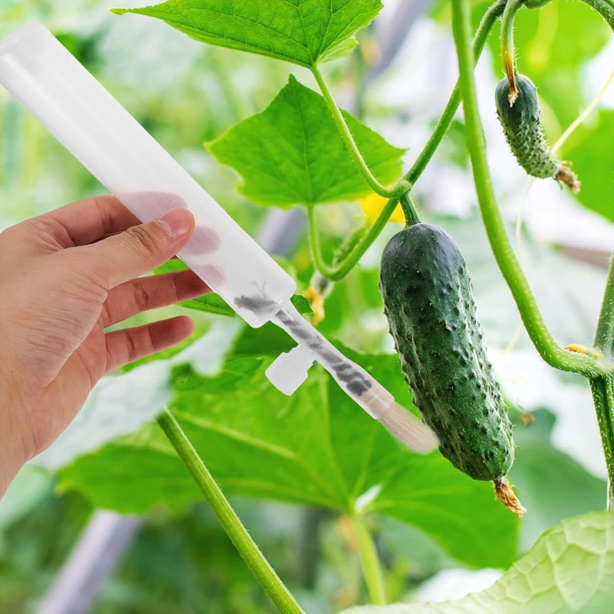 Pollination Pen - Professional Plant Pollinator Tool - Practical & Efficient - For Flower Pollination - V1188-MS101-02223-1