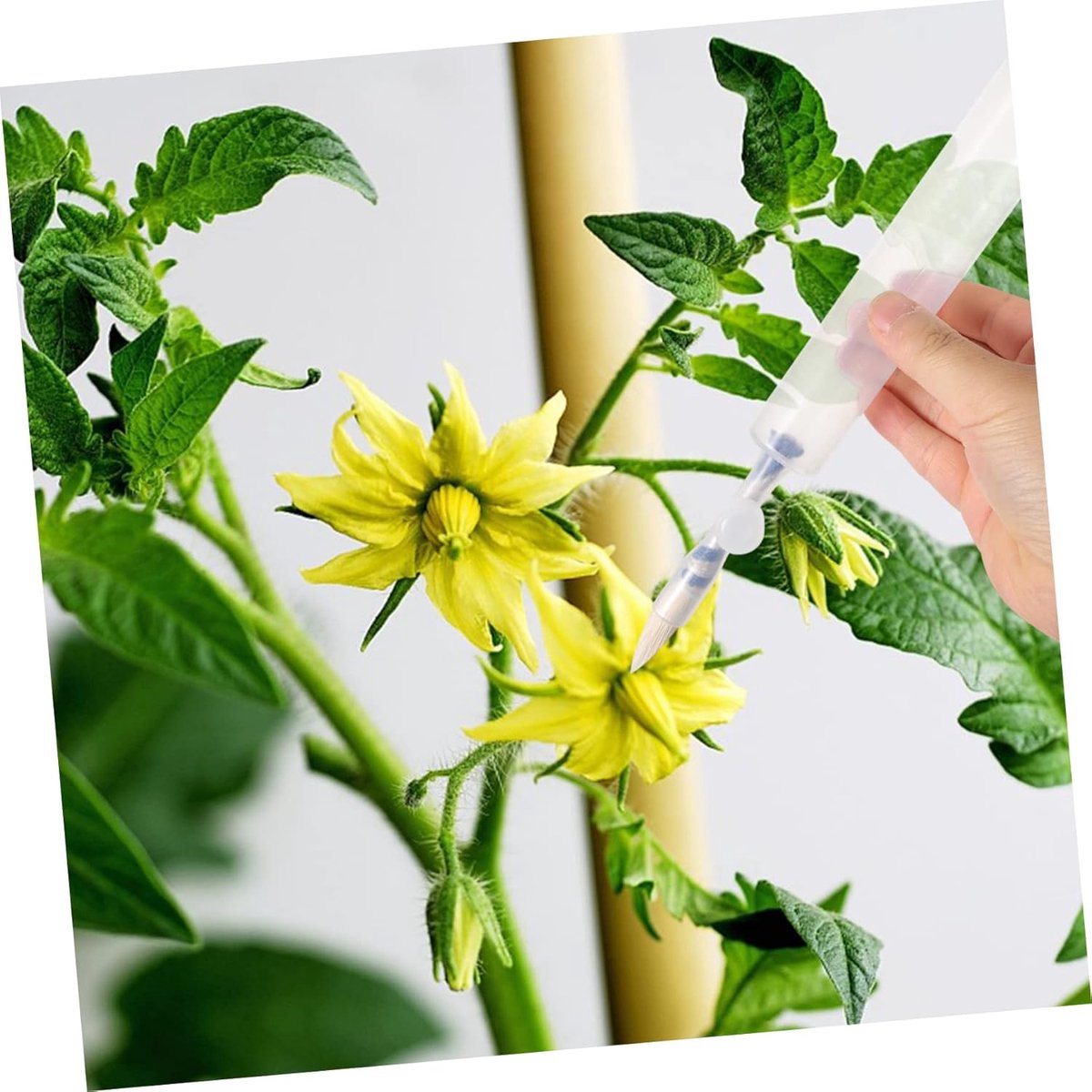 Pollination Pen - Professional Plant Pollinator Tool - Practical & Efficient - For Flower Pollination - V1188-MS101-02223-1