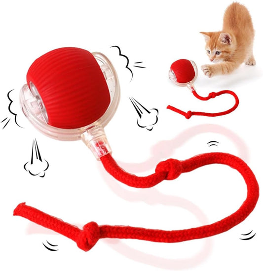 Electric Cat Ball Toy - Cat Toys - Electric Toy Ball - Pet Toys - Smart Toy Ball - Automatic Rolling Cat Ball V1188-MS101-02403-1