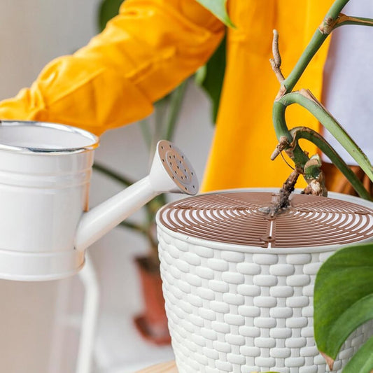 2 pieces - plant pot cover - 30 cm - Flowerpot grid - planter cover set - plantpot grid bottom protectors - V1188-MS101-02634-1