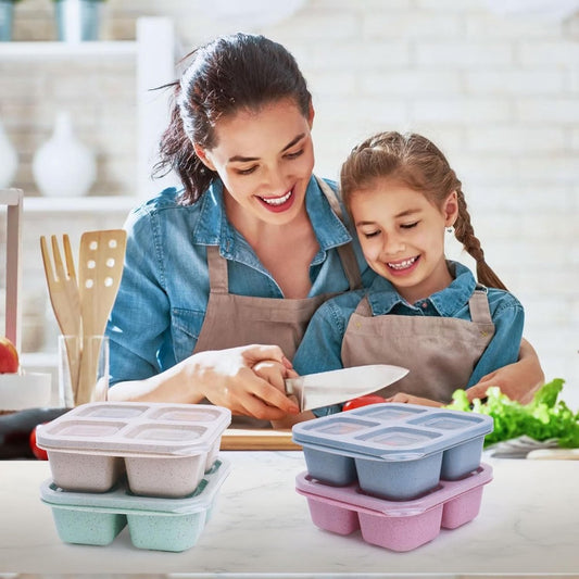 4-Piece Snack Boxes - Lunch Box - Bento Box - Divided Bento Boxes - Lunch Box - Salad Lunch Box - 4 V1188-MS101-03031-1
