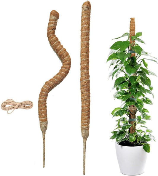 2 pieces - 60cm - Plant supports - Foldable plant support - Climbing plant stake - Monstera Stakes - Plant V1188-MS101-03362-1
