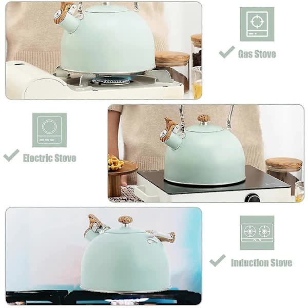 Stainless Steel Whistling Kettle 2.5L for Gas Stoves, Induction Compatible, Ergonomic Handle V1188-NANV-8-9932