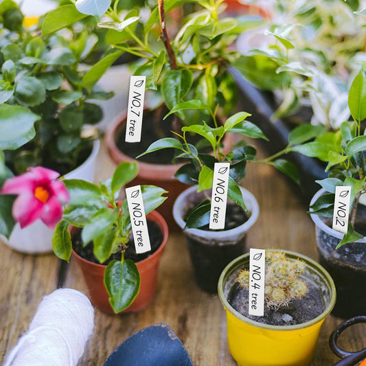200 Pieces - Plant Labels - 2x10 CM - Plant Labels - Vegetable Labels - Vegetable Labels - White - Plant V1188-NK-BOL-131