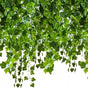 25 meters Ivy garland / Leaf garland - 2 m long Green V1188-ONE60-03103-1