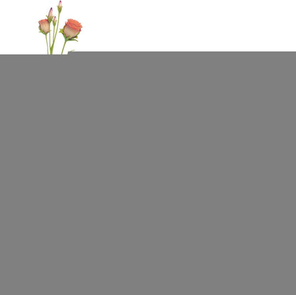 Oasis Floral Foam Block, Wet and Dry Foam for Artificial Flower Arrangements, Wedding Accessories V1188-ONEAMZ-00864-1