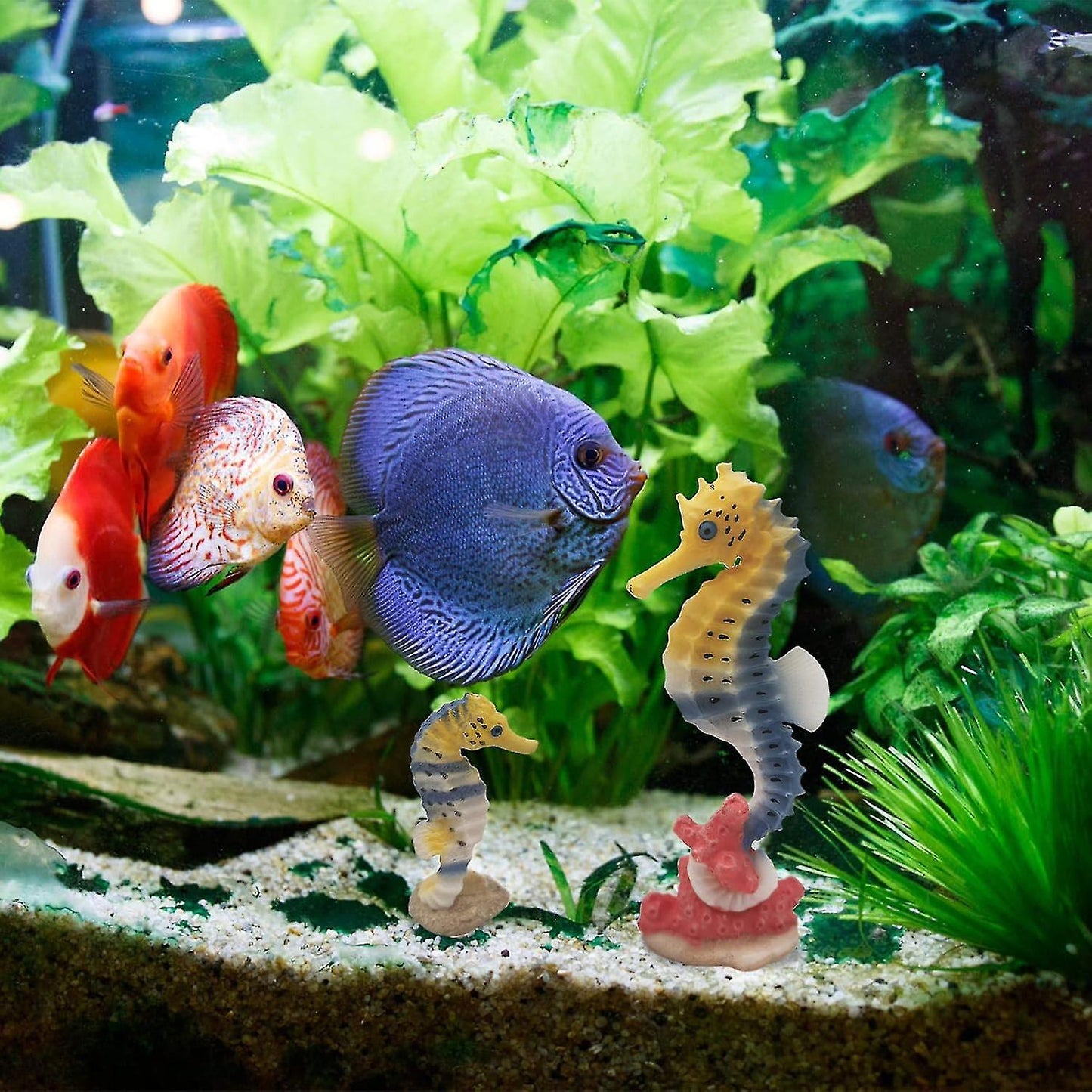 Seahorse Statue Ornament Compatible with Aquarium Decor Resin 2 Pieces V1188-RD-110243
