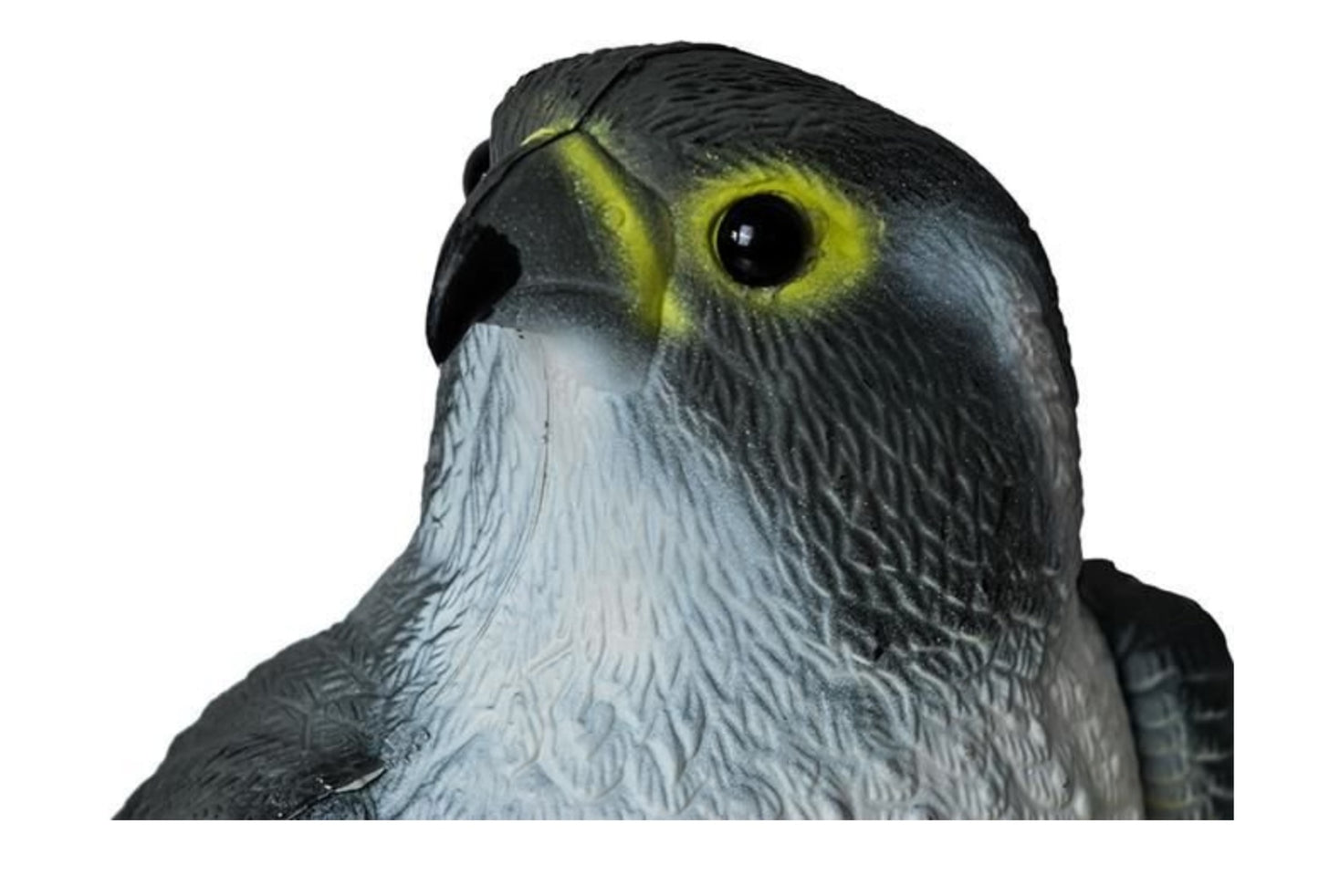 Eagle Scarecrow Repellent Deterrent for Birds V1188-TAL-AA-00158