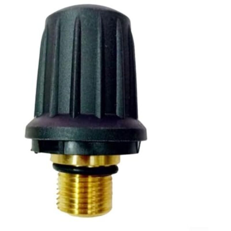 Replacement Brass Valve Cap 4.590-105.0 for Karcher Steam Cleaner Compatible with SC1.010 SC1.020 SC2.000 V1188-TAL-MN1022-1867