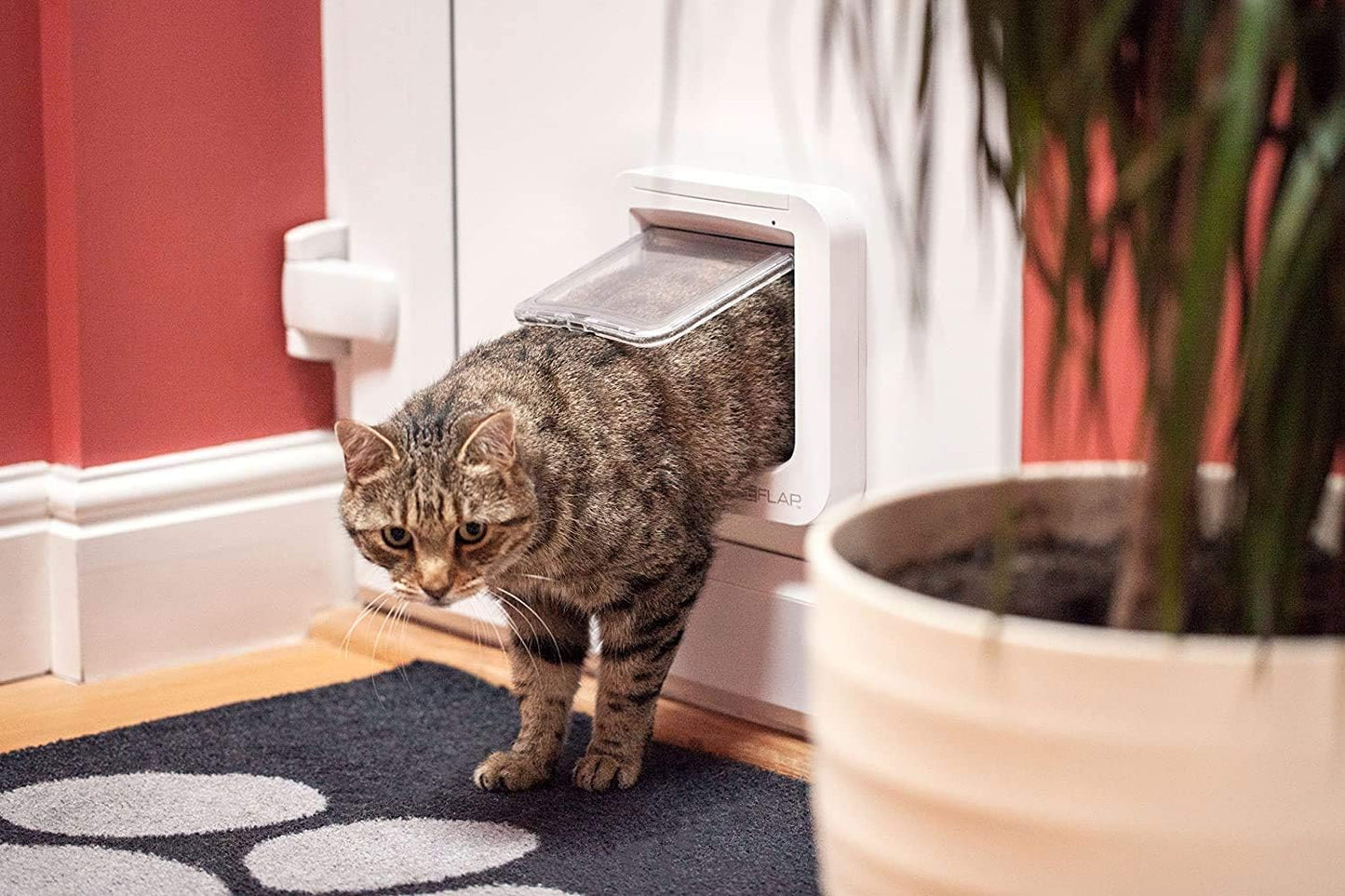 Cat Mate cat flap, white, comfortable for cats to get in and out V1188-TR101-10075-1