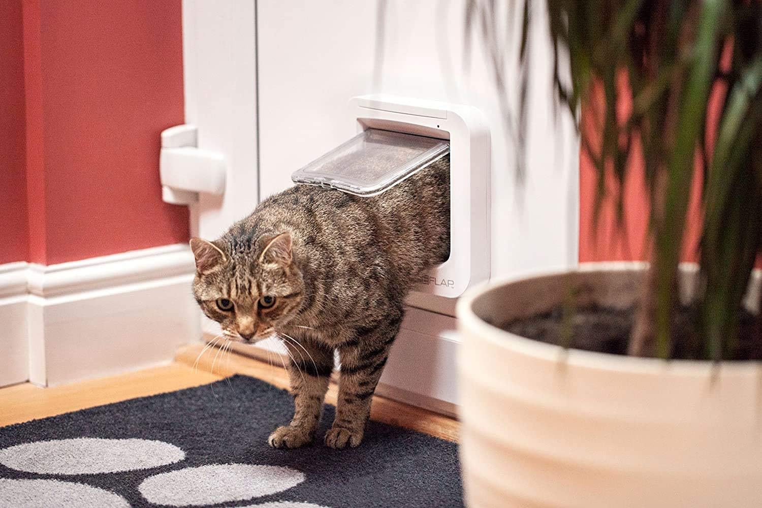 Cat Mate cat flap, white, comfortable for cats to get in and out V1188-TR101-10075-1