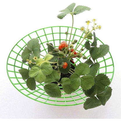 Strawberry Plant Support Cages, 10 pcs Climbing Rack Frame Holder for Balcony Garden Planting, Fruit Support V1188-TR101-18068-1