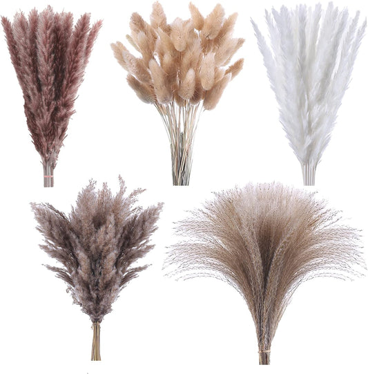 120 Pcs Dried Pampas Grass 17 Inch White Pompas Bouquet Fluffy Dry Pompous Bunny Tails Flower Small Pampass V1188-WTJ-SJH-1113