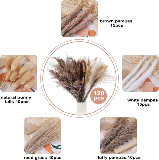 120 Pcs Dried Pampas Grass 17 Inch White Pompas Bouquet Fluffy Dry Pompous Bunny Tails Flower Small Pampass V1188-WTJ-SJH-1113