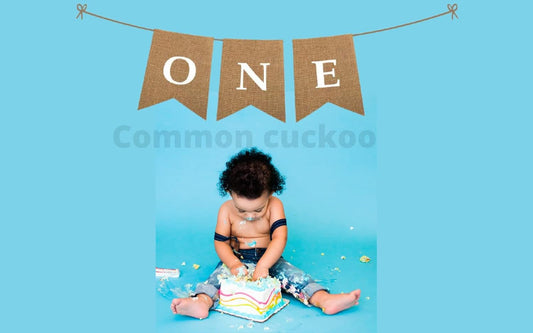 ONE High Chair First Birthday Burlap Banner | First Birthday Party Rustic Theme Decoration for boy or Girl | V1188-WTJ-TLK-1045