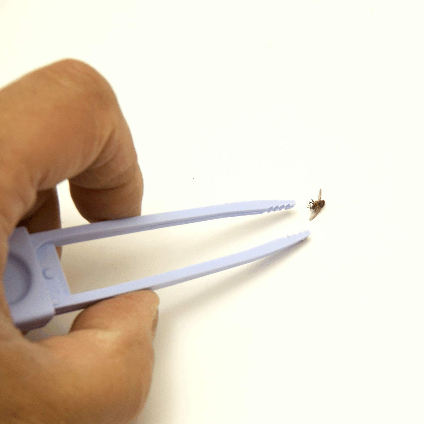 Plastic Fly Swatter with Tweezers, Bugs Whisk and Fly Killer with Pincers (3) V1188-ZC-LHJ-638