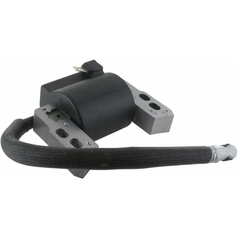 Briggs \u0026 Stratton 796964 Ignition Coil Replacement for Small Engines V1188-ZX-Y813-1480