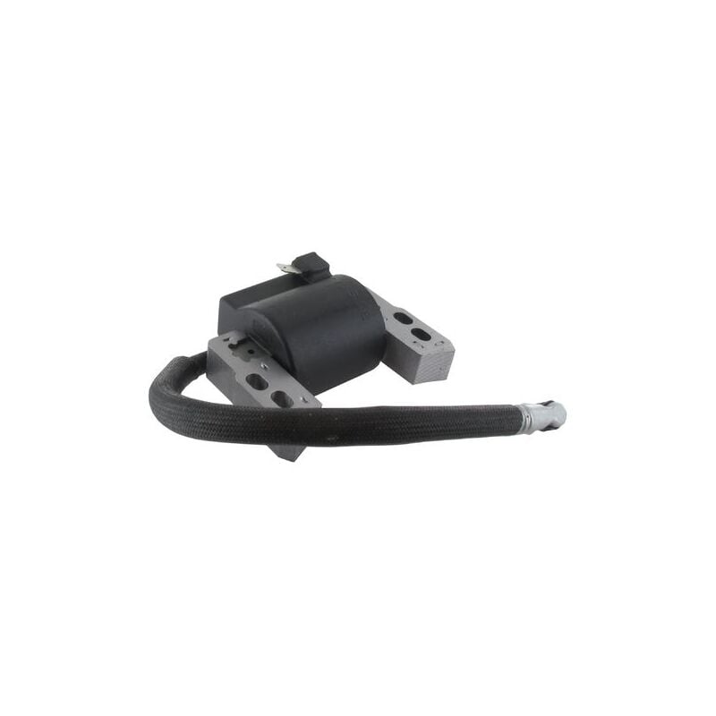 Briggs \u0026 Stratton 796964 Ignition Coil Replacement for Small Engines V1188-ZX-Y813-1480