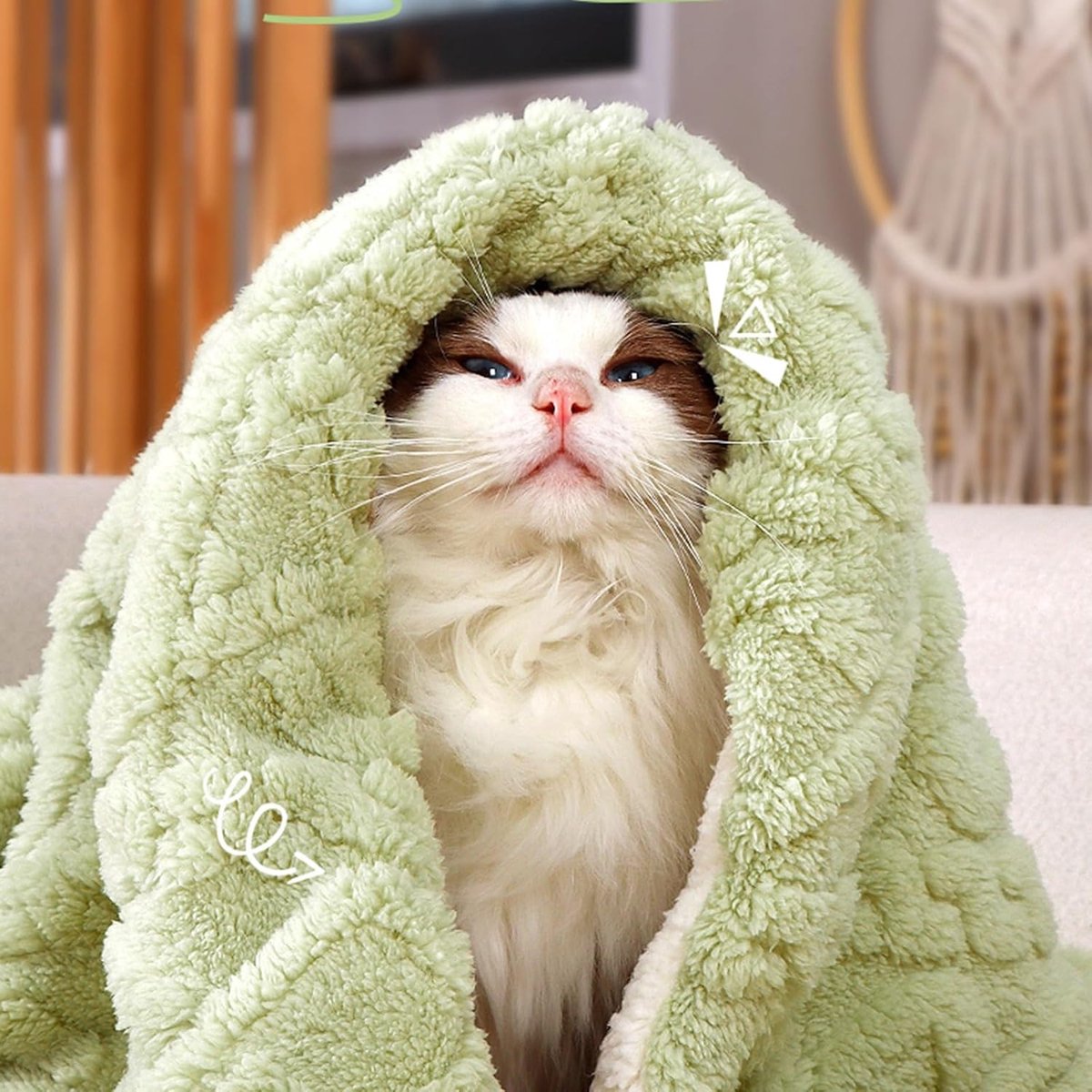 Pet Mat - Soft Pet Blanket - Warm Plush Blanket for Dogs and Cats - Comfortable & Cozy Sleep Blanket - 55*45cm V1188-ZXY-10024