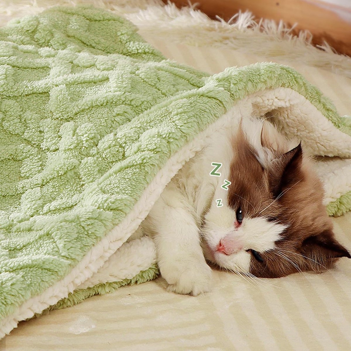 Pet Mat - Soft Pet Blanket - Warm Plush Blanket for Dogs and Cats - Comfortable & Cozy Sleep Blanket - 55*45cm V1188-ZXY-10024
