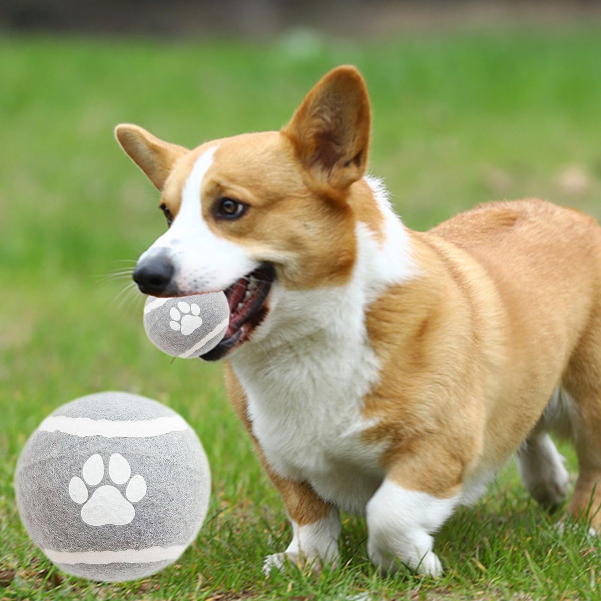 Dog Toys - 3-pack - Dog Puzzle - Interactive - sturdy elastic felt dog balls for retrieving - interactive dog V1188-ZXY-10206