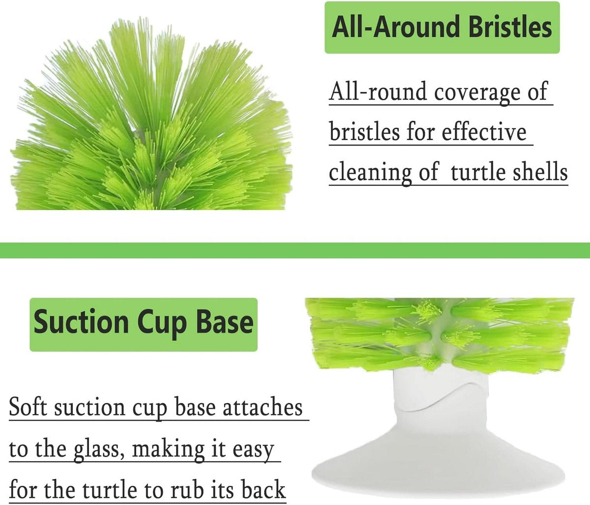 Turtle Shell Brush - Turtle Shell Brush - Turtle Shell Exfoliating Brush - With Suction Cup - Turtle Shell V1188-ZXY-10228