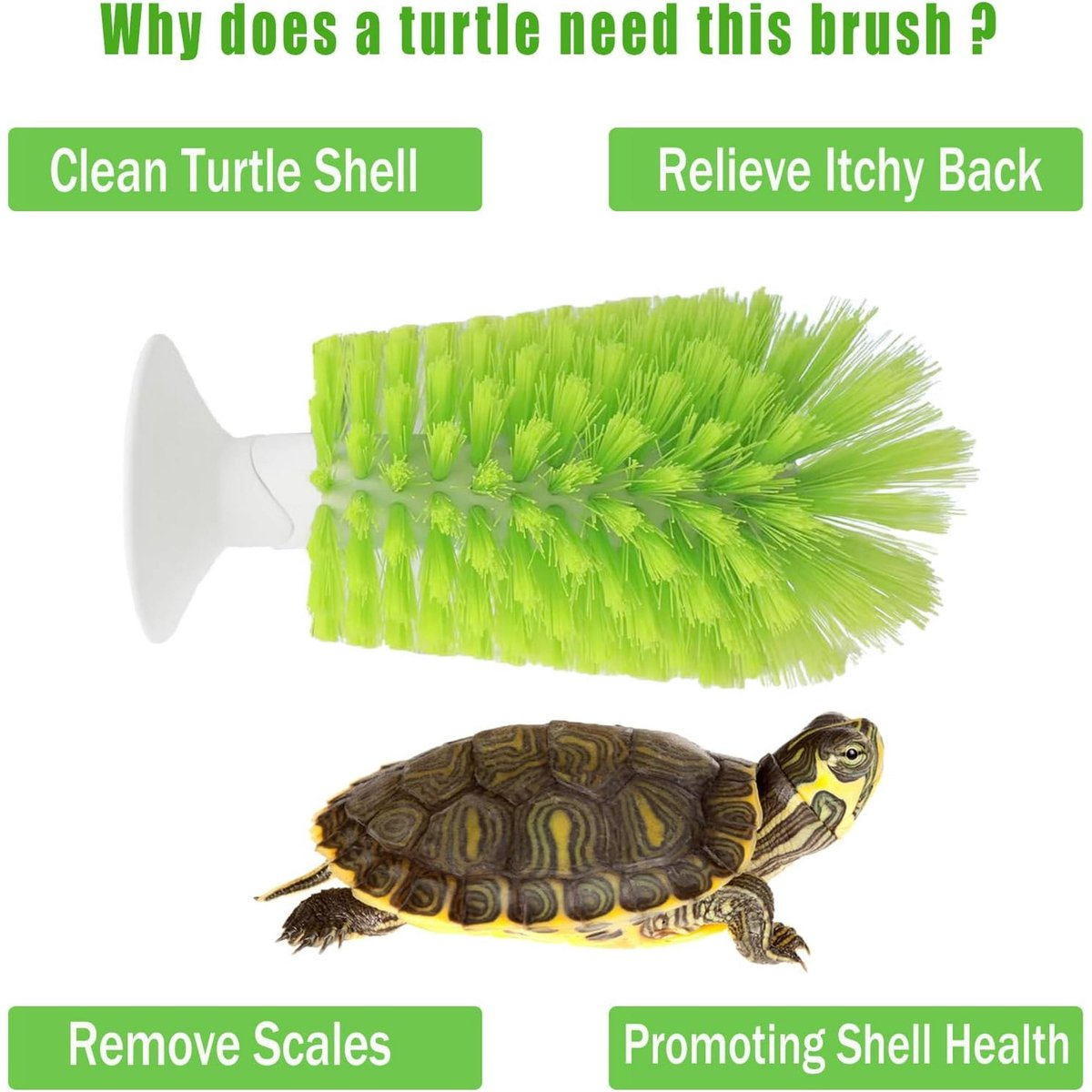 Turtle Shell Brush - Turtle Shell Brush - Turtle Shell Exfoliating Brush - With Suction Cup - Turtle Shell V1188-ZXY-10228