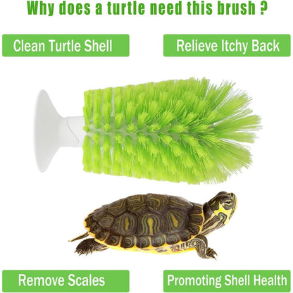 Turtle Shell Brush - Turtle Shell Brush - Turtle Shell Exfoliating Brush - With Suction Cup - Turtle Shell V1188-ZXY-10228