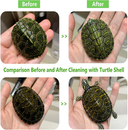 Turtle Shell Brush - Turtle Shell Brush - Turtle Shell Exfoliating Brush - With Suction Cup - Turtle Shell V1188-ZXY-10228