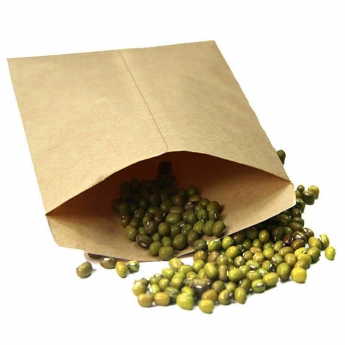 Seed Bags - 100 vintage kraft paper seed bags V1188-ZXY-10309