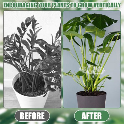 Plant Stands - Acrylic Plant Stands for Indoor and Outdoor Use - 20 Pieces V1188-ZXY-10606