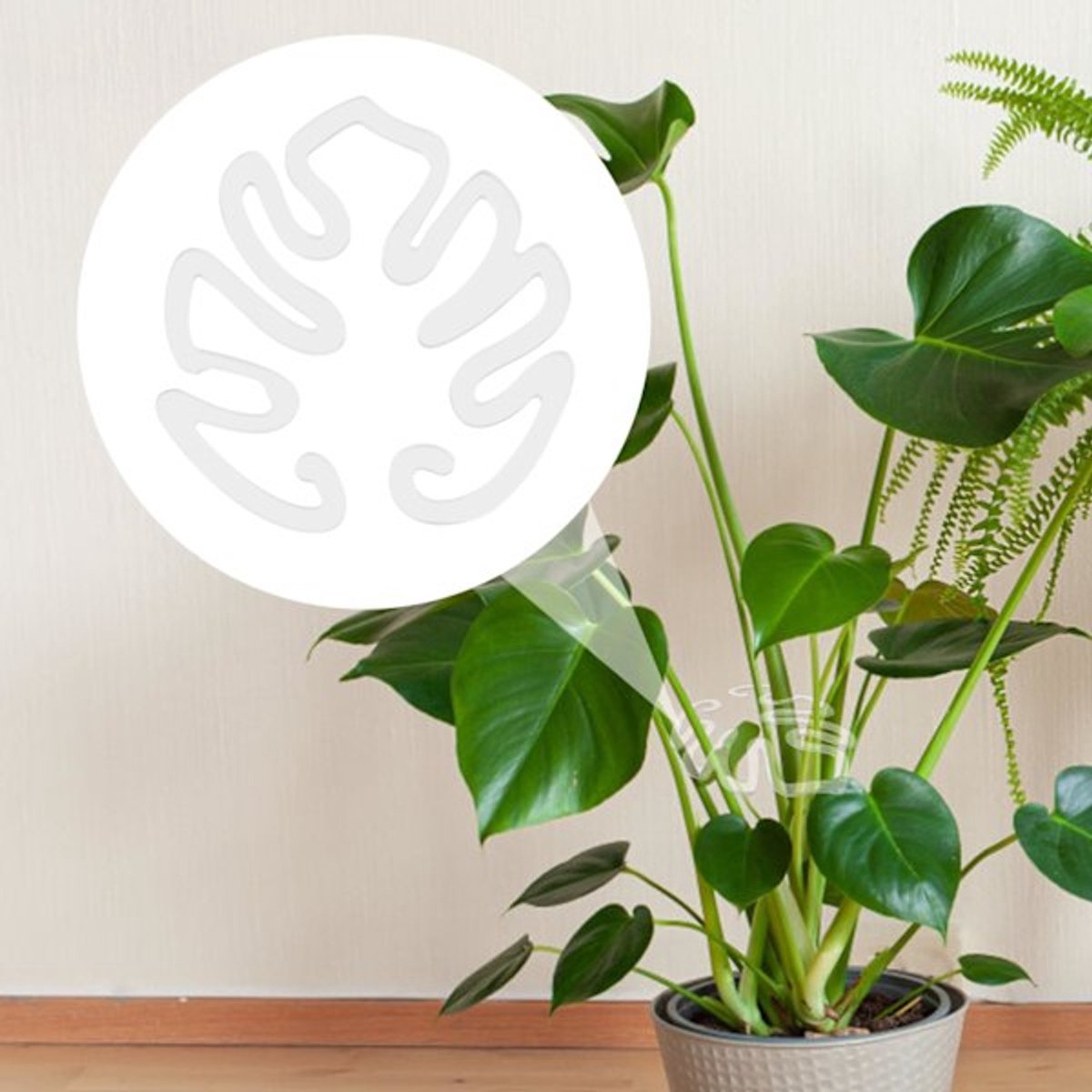 Plant Stands - Acrylic Plant Stands for Indoor and Outdoor Use - 20 Pieces V1188-ZXY-10606