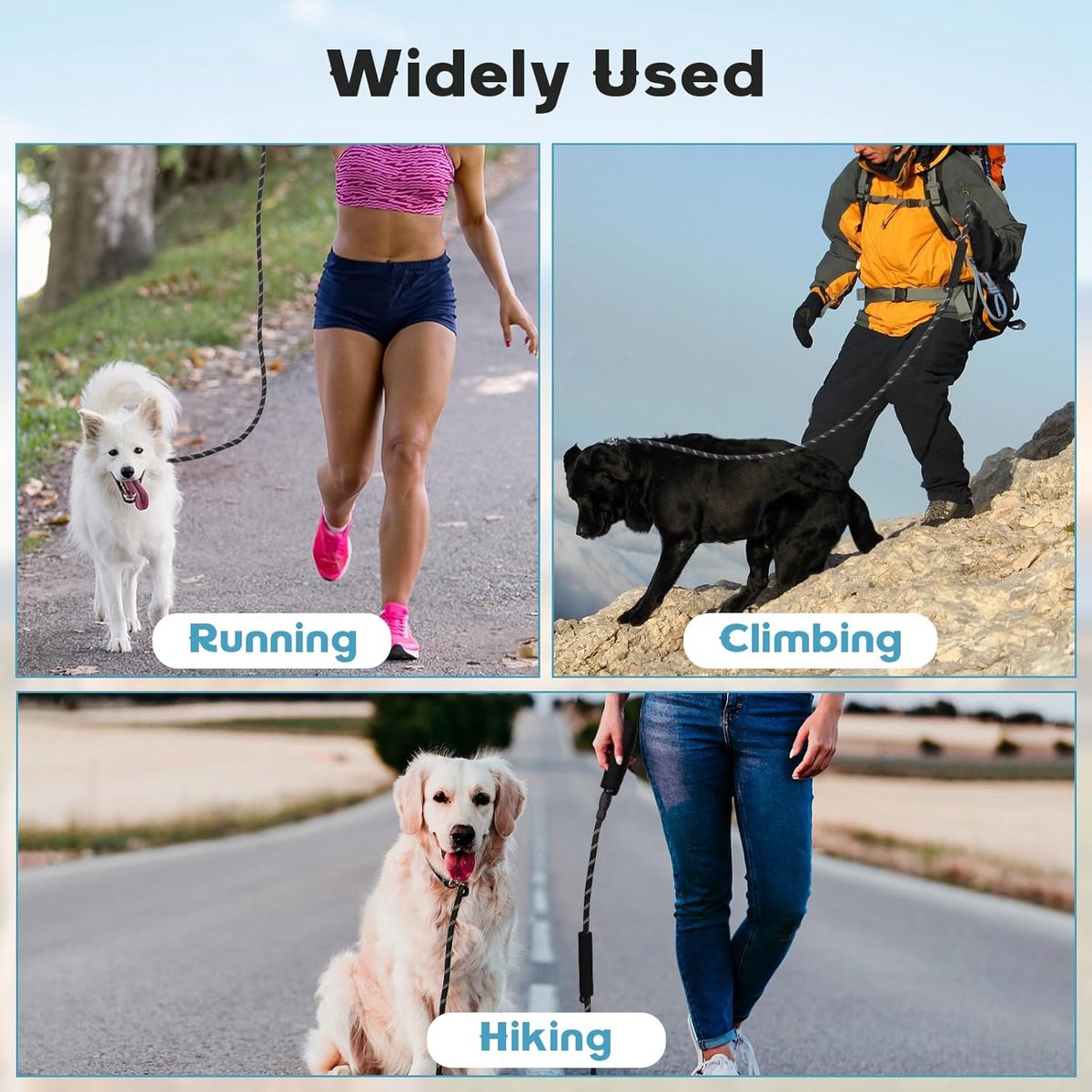1.8m Long Dog Training Leash - Durable, tension-free polyester dog leash with two padded handles and V1188-ZXY-10925