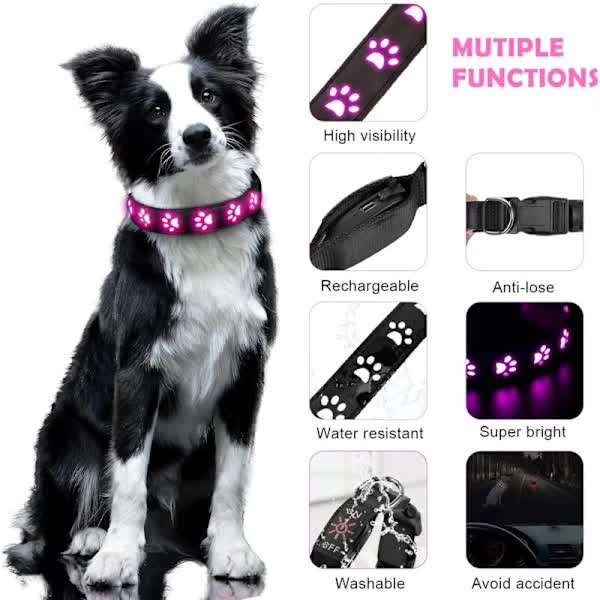 LED Luminous Dog Collar, Rechargeable and Waterproof Dog Collar, Adjustable Collar with 7 Light Modes V1188-ZXY-117-0061