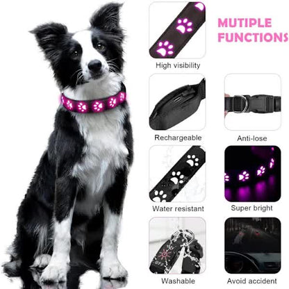 LED Luminous Dog Collar, Rechargeable and Waterproof Dog Collar, Adjustable Collar with 7 Light Modes V1188-ZXY-117-0061