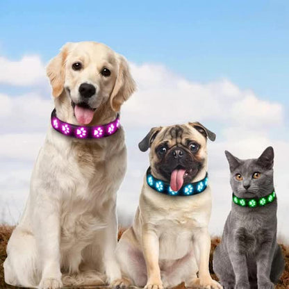LED Luminous Dog Collar, Rechargeable and Waterproof Dog Collar, Adjustable Collar with 7 Light Modes V1188-ZXY-117-0061