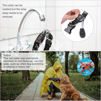 LED Luminous Dog Collar, Rechargeable and Waterproof Dog Collar, Adjustable Collar with 7 Light Modes V1188-ZXY-117-0061