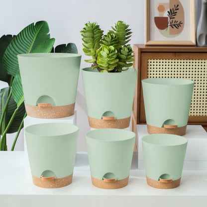 Planters - Self-watering succulents - Set of 6 tabletop planters - Minimalist design V1188-ZXY-131-440