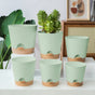 Planters - Self-watering succulents - Set of 6 tabletop planters - Minimalist design V1188-ZXY-131-440