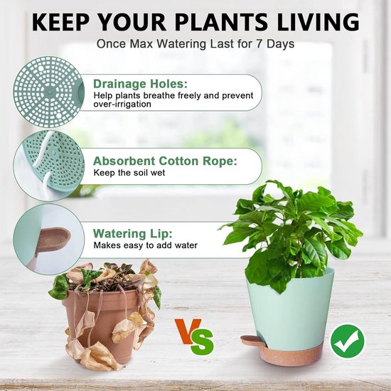 Planters - Self-watering succulents - Set of 6 tabletop planters - Minimalist design V1188-ZXY-131-440
