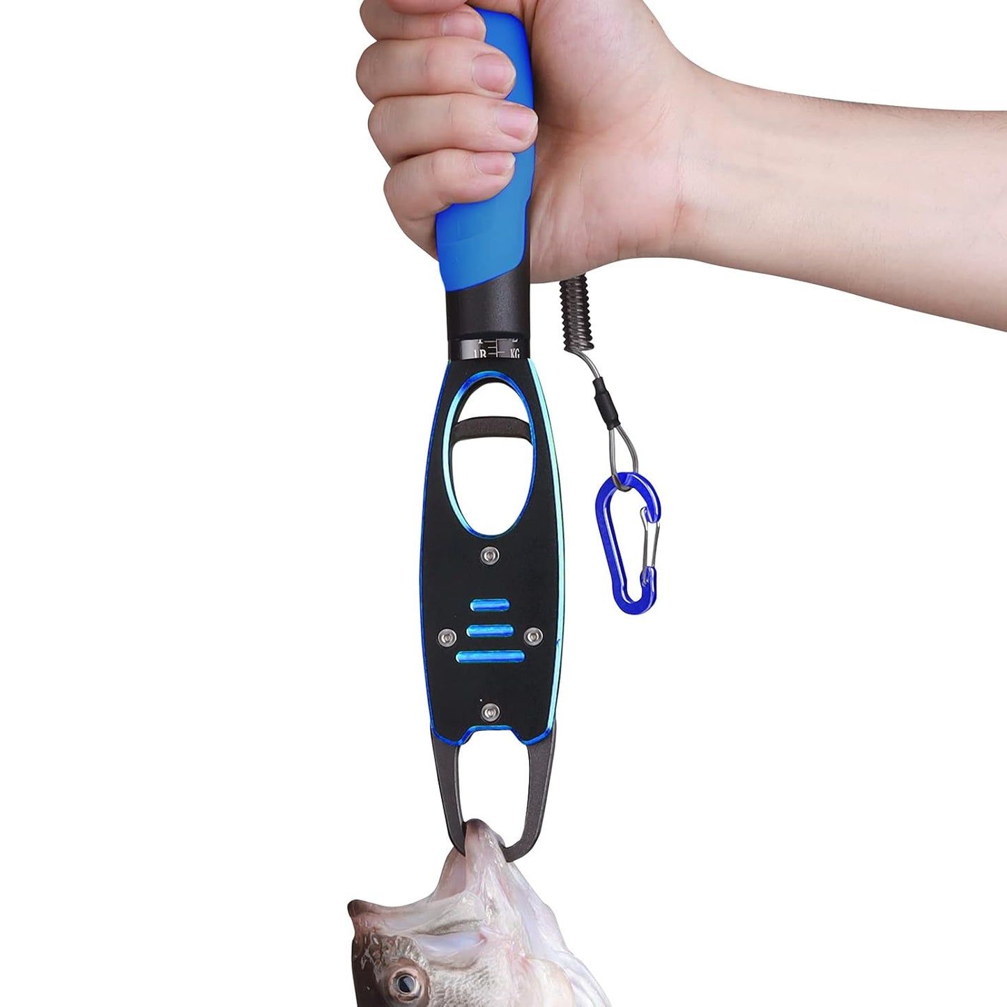 Fish Grabber with Scale - Non-Slip Handle - One-Handed Use - 360 degrees Rotatable - Includes Wrist Strap V1189-HB001CHJA00165