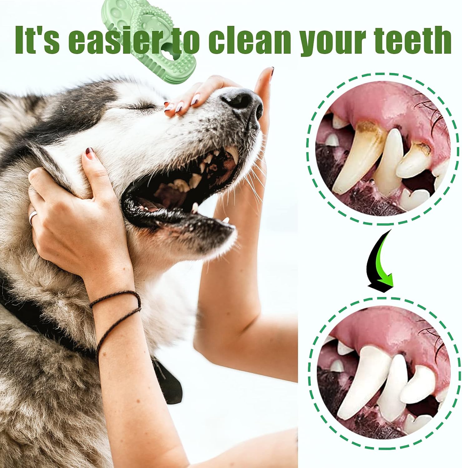 Dog Toothbrush-Chew Toy-Cleaning Teeth-Green+Pink V1189-HB001CYTR00001